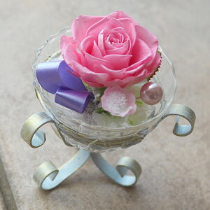  vU[uht[ ̓Mtg vU uU[ht[  ͂͂̓ Mtg  v[g 蕨 Mtg v`Mtg  a LO җj a   