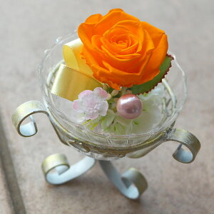  vU[uht[ ̓Mtg vU uU[ht[  ͂͂̓ Mtg  v[g 蕨 Mtg v`Mtg  a LO җj a   