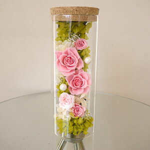 hV̓ vU[uht[  ̓ KX v[g ͂Ȃ  Mtg JXj JƏj J@j ސEj Vzj 蕨 j a LO җj     