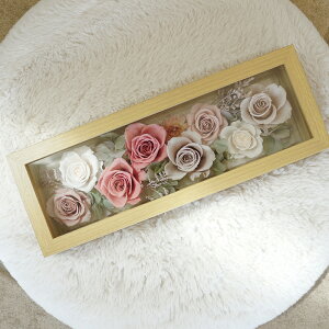 v[g vU[uht[ KX ͂Ȃ hV̓  JX J Vz 蕨 a LO  e   o j Ê  ʉ @l Mtg   v|[