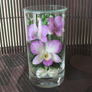 dp hCt[   ~  p hCt[  䕧OAW @  ̉ ~j _ ފ d  AW    O