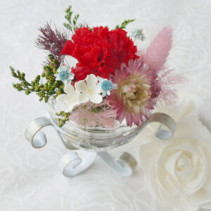  vU[uht[ ̓Mtg vU uU[ht[  ͂͂̓ Mtg  v[g 蕨 Mtg v`Mtg  a LO җj a   