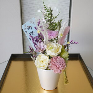 ~ vU[uht[   ~   vU[ht[  䕧OAW @ dp  ԃMtg  ̉ ~j _ ފ d  