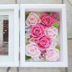 vU[uht[  hV̓ vU ̓ ʐ^ ͂Ȃ tHgt[ c a sv Vz 蕨 ybg vU LO җj v[g  Ê   