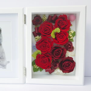 hV̓ vU[uht[  vU ̓ ʐ^ tHgt[ c a sv Vz 蕨 ybg vU LOMtg җj v[g  Ê  Ď 