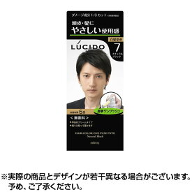 楽天市場 ルシード 白髪染めの通販