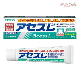 楽天市場 歯磨き アセスlの通販