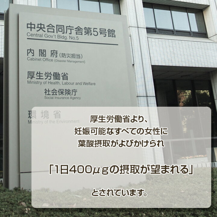 楽天市場 Uhaグミサプリ 鉄 葉酸 30日分 60粒 味覚糖 葉酸 サプリ 妊娠 葉酸サプリメント 妊活 妊婦 妊娠初期 Uha味覚糖 グミサプリ エンジェルドラッグ
