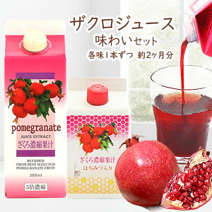 CYUNZkW[X 킢Zbg 2P 5{ZkUNW[X1{{݂͂UNZkW[X1{ pbN 500ml×2{(e1{) _sgp̊nUNM[