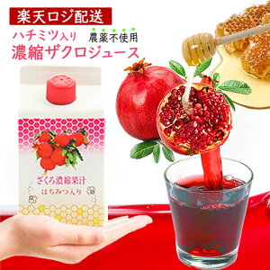 I Zk UNW[X _sgp  CY n ZkA݂͂uhĈ݂₷ɁI yyVX[p[Wzioׁjz