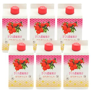 UNW[X Iׂ閡i 5{Zk ݂͂Zk j_sgp̃CYnUNZk@Zkʏ` pbN 500ml y5{Zk^CvF2025N8AIZk^CvF2025