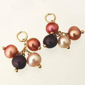 S[htBh sNnWp[̃sAX`[