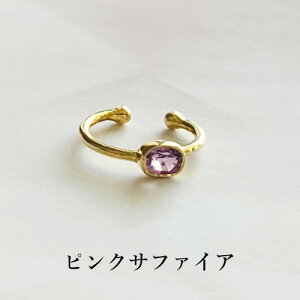 Vo[925 S[h Tt@CA C[Jt CO u[ sN mz[sAX