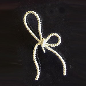 RlN^[ { @ y_g `[ ANZT[p[c ؍ ؍ANZT[