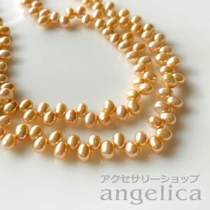 Wp[ 1Ai40cm) IW 4.5-5mm I[oTCh NIpg ANZT[p[c