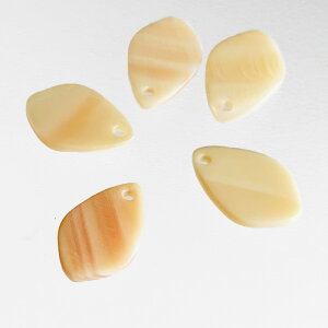 sNVF Ԃт `[r[Y ANZT[p[c