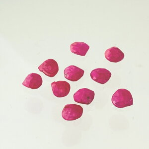 VR  sNTt@CA }Jbg6-6.5mm 1 i Ύ