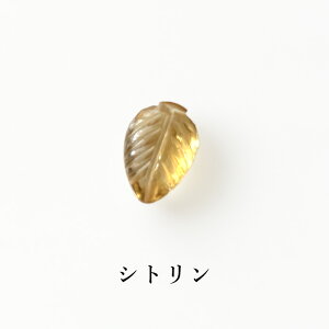 VR  J[rO[t 1 K[lbg AWXg Ag viCg Vg