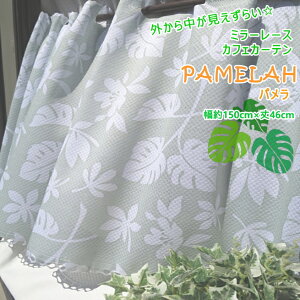�~���[���[�X �J�t�F�J�[�e���`�p�����`�i����150cm����46cm�j�l�R�|�X�ւő�������