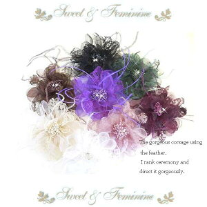 fGȃI[KW[[XRT[W@LLȃWRjART[W@14cm@zCg@ubN@O[EEEEZ[Eʔ́E߁E}@[@Ԃ