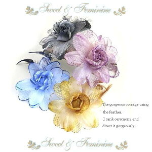 fGȃI[KW[RT[W@[XExAHRT[W@14cm@ubN@@O[@v@sN@N[@ItzCg@EEEEZ[