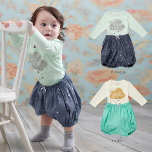 uvcoto cotte {fBAptu}K[h3_Zbg xr[ Ԃ xr[ j̎q ̎q EFA EGA {gX