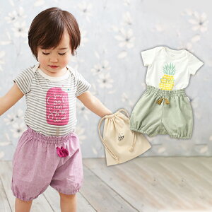 uvxr[ CLOUDY FINE LATER {fBu}AВ3_Zbg xr[ Ԃ xr[ EFA EGA