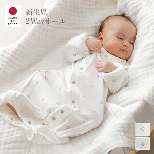 xr[ p[X V oYj oY ̎q j̎q Mtg 100 { vg2WAYI[ Jo[I[ tgSJ Ԃ 50cm 60cm ʔN t H~