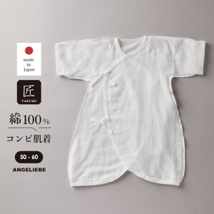 V   Rr y{zK[[Rr  j̎q ̎q xr[ V Ԃ 킢  t  t