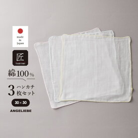 出産準備 肌着 服 【日本製】匠ガーゼハンカチ3枚セット 出産準備 男の子 女の子 ベビー服 新生児 赤ちゃん かわいい おしゃれ 春 夏 春夏