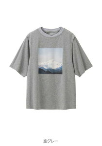 }^jeB gbvX    TVc vg JVN[ Dw d ʋ ItBX LC JWA YOY }} 傫TCY 킢  t  t