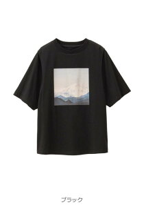 }^jeB gbvX    TVc vg JVN[ Dw d ʋ ItBX LC JWA YOY }} 傫TCY 킢  t  t