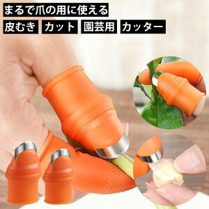 ySNSŘbzewJb^[ wTbN^Jb^[ s[[ ؔނ w | niCt ؂ꖡQ Lb`֗ObY jjNނ ܌^iCt t Jbg   