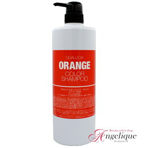 tB[ NIVA J[Vv[ IW 1000ml | e RX wAPA e Tꔄi J[Vv[ J[wA J[g[gg _[W _[WwA u[`