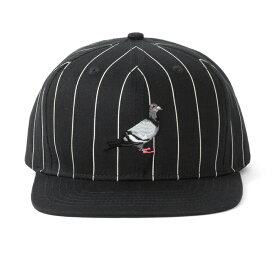 クーポン配布中/ STAPLE キャップ ステイプル スナップバック 帽子 PINSTRIPE PIGEON SNAPBACK/