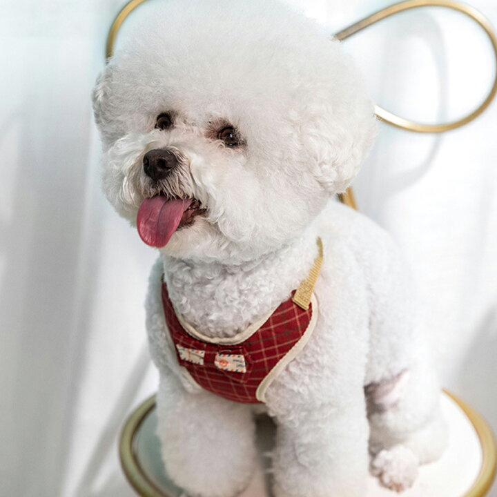 楽天市場 犬 メッシュ ハーネスおしゃれ 胸あて式 犬用 ワンちゃん用 ハーネス お出かけ メッシュ かわいい 小型犬 中型犬 犬 猫 愛犬 ワンちゃんリード ハーネス セット 胴輪 ソフトパッド リボン 簡単装着 快適メッシュハーネス メール便y エンジェルルナ Angel Luna