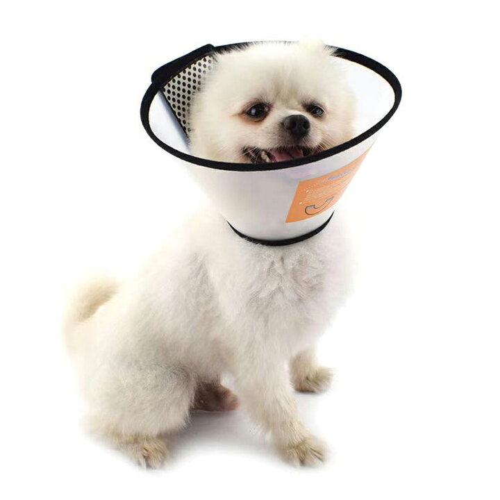 楽天市場 エリザベスカラー ペット用品 犬用 猫用 大型犬 中型犬 小型犬 子犬 老犬 かわいいペットのために 傷なめ防止 敏感 半透明 選べる5サイズ ペット介護用 手術後 ケア 軽量 ソフト 柔らか素材 マジックテープで簡単調節 微調整 宅配便rsl エンジェルルナ Angel