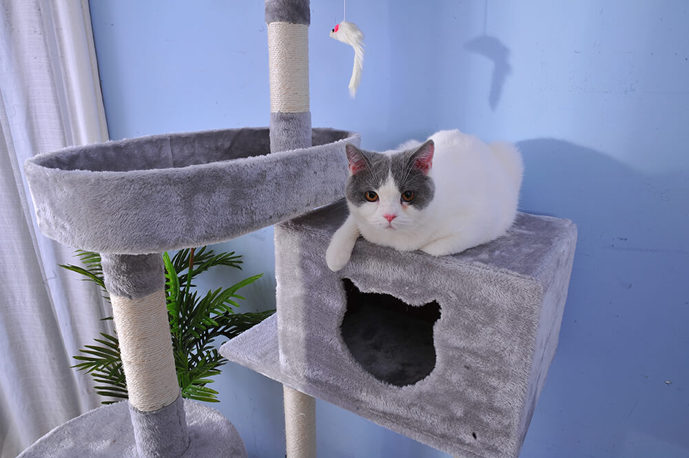 限定新品通販激安 キャットタワー おしゃれネズミおもちゃ付き 全高177cm 据え置き多頭大型猫 猫用品