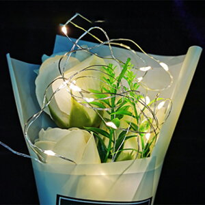 NX}XCg WG[Cg USB 100 a NX}X  O 10m fR[V nEB Cxg h  LED ` C~l[V C[Cg Px dsv 