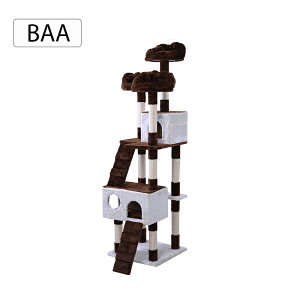 DA Lbg^[ u  S185cm ܂Ƃ R@؂ȃnEXt B oXPbg  zRSL