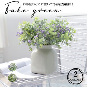花 葉っぱ 観葉植物の人気商品 通販 価格比較 価格 Com