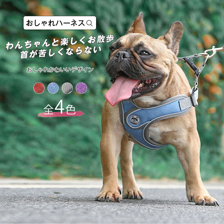 楽天市場 犬 ハーネス 犬用 軽量 胸部ハーネス リード サスペンダー 小型犬 中型犬 胴輪 子犬 老犬 柴犬 コーギー フレンチブルドッグ 高齢犬 散歩 訓練 トレーニング 楽しくお散歩 首が苦しくならない 絞めつけない 抜けにくい メール便y エンジェルルナ Angel Luna