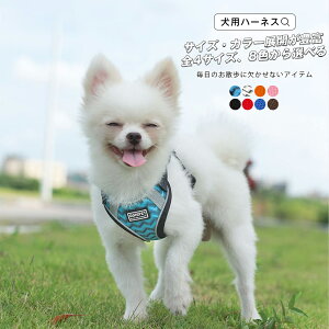 大型犬 首輪の人気商品 通販 価格比較 価格 Com 大型犬 首輪の人気商品 通販 価格比較 価格 Com