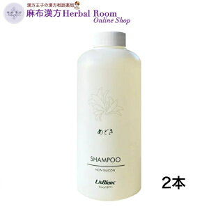 yXuϕiz ߂ǂ 500mL×2{ Vv[ XJvPA wAPA  є  玉 ̉ NWO ӂ  邨 pT    \h mVR