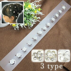 sAm \ wAANZT[ q ANZT[ CXg[  p[ XN[ LL wA|Cg 12ZbgiYP20015j tH[} wAANZT[ LbY q hX