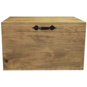 Jg[{bNX ӂt[ ACA 45×30×27cm AeB[NuE ؐ Ђ̂ nhCh I[_[Ch