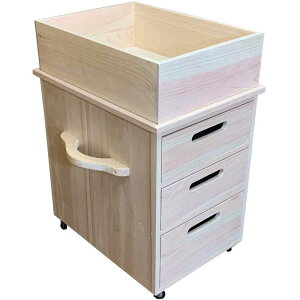 yԌ10OFFzCTChS h 29.5×40.5×55cm Oi LX^[t o ؐ Ђ̂ nhCh I[_[Ch