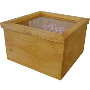 KXP[X KXWJg[{bNX [ i` 26×26×16cm ؐ Ђ̂ nhCh I[_[Ch