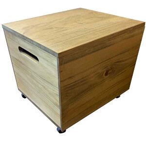 Ebh{bNX VW AeB[NuE 30×25×29cm LX^[ ؐ Ђ̂ nhCh I[_[Ch