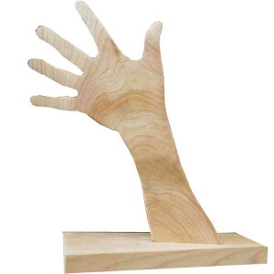 ANZT[X^h uXz_[ h w19d11h26cm ؐ Ђ̂ nhCh I[_[Ch